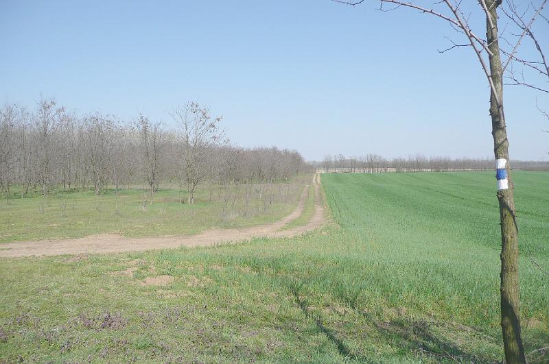 akk 06.JPG
